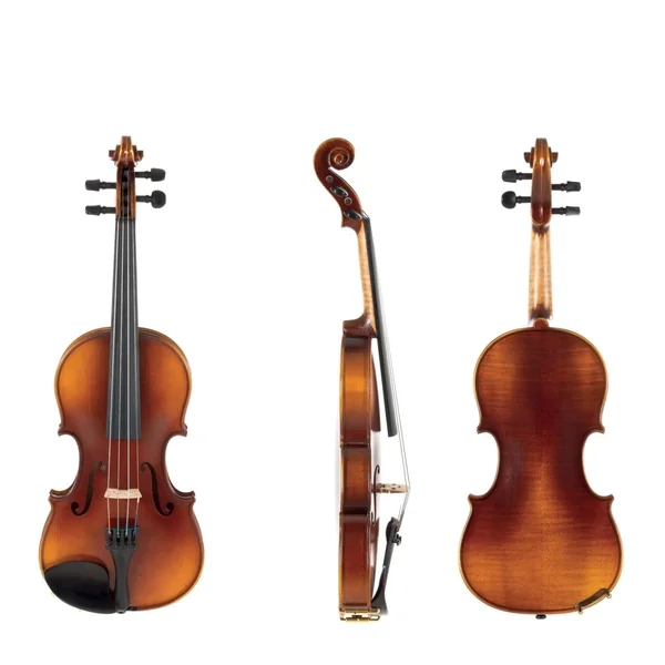 GEWA Violin Allegro - 1/4 (Ready to play, transport-secured)