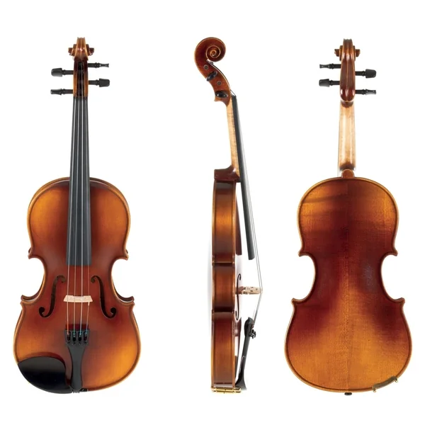 GEWA Violin Allegro - 1/4 (Ready to play, transport-secured)