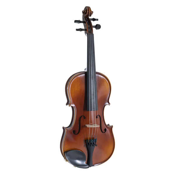 GEWA Violin Allegro - 4/4 (Ready to play incl. shaped case, Massaranduba bow, Larsen Aurora strings, transport-secured)