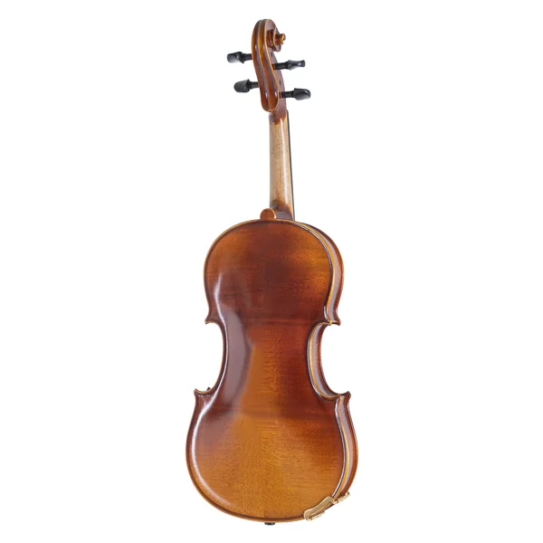 GEWA Violin Allegro - 4/4 (Ready to play incl. shaped case, Massaranduba bow, Larsen Aurora strings, transport-secured)