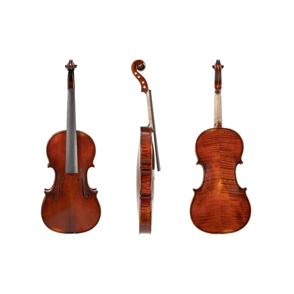 GEWA Violin Germania - 4/4 Model Rom (Set-up)