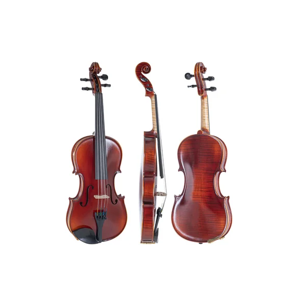 GEWA Violin Ideale - 4/4 (Ready to play incl. shaped case, without bow, with Larsen Aurora strings, transport-secured)