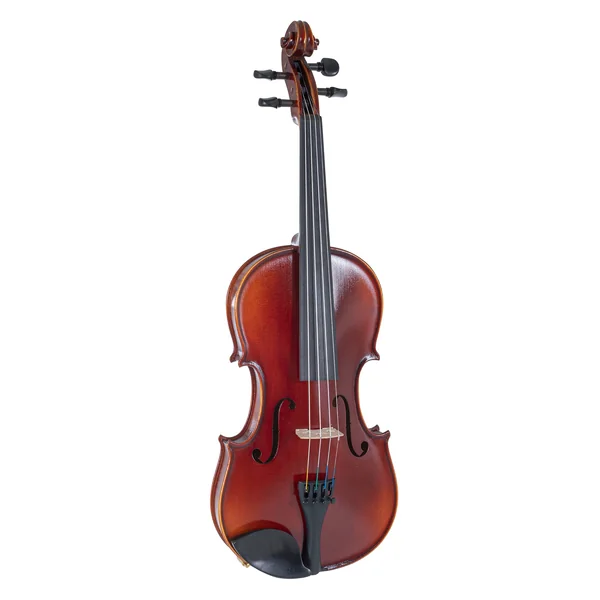 GEWA Violin Ideale - 4/4 (Ready to play incl. shaped case, without bow, with Larsen Aurora strings, transport-secured)