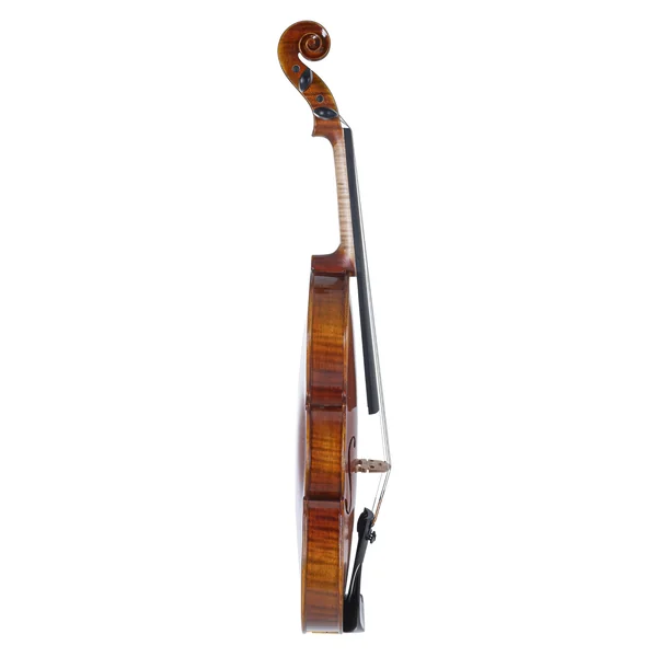 GEWA Violin Maestro 1 - 4/4 (Ready to play incl. GEWA Bio violin shaped case, without bow, with Il Cannone strings)