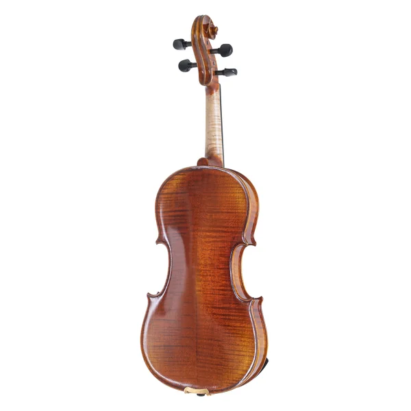 GEWA Violin Maestro 1 - 4/4 (Ready to play incl. shaped case, carbon bow and Il Cannone strings)