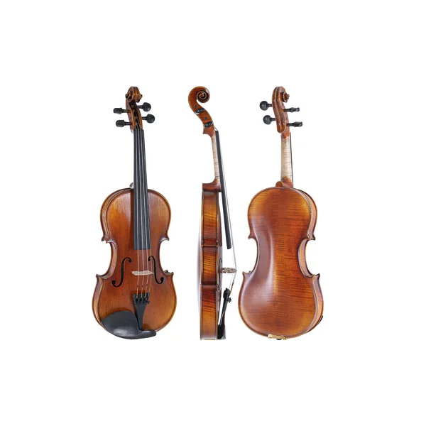 GEWA Violin Maestro 2 - 4/4 (Ready to play incl. GEWA Bio violin case, GEWA Carbon Bow Advanced and Il Cannone strings)