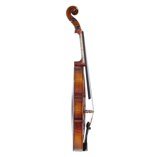 GEWA Violin Maestro 2 - 4/4 (Ready to play incl. GEWA Bio violin case, GEWA Carbon Bow Advanced and Il Cannone strings)