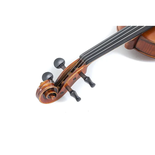 GEWA Violin Maestro 2 - 4/4 (Ready to play incl. GEWA Bio violin shaped case, GEWA Baron bow and Il Cannone strings)