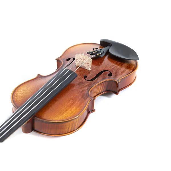 GEWA Violin Maestro 2 - 4/4 (Ready to play incl. GEWA Bio violin shaped case, GEWA Baron bow and Il Cannone strings)