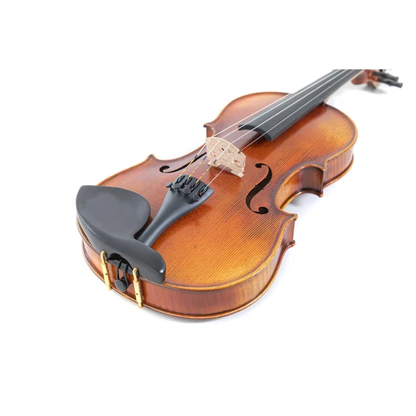 GEWA Violin Maestro 2 - 4/4 (Ready to play incl. GEWA Bio violin shaped case, GEWA Carbon Bow Advanced and Il Cannone strings)