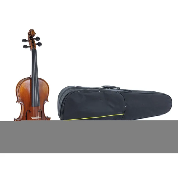 GEWA Violin Maestro 2 - 4/4 (Ready to play incl. shaped case, without bow, with Il Cannone strings, transport-secured)