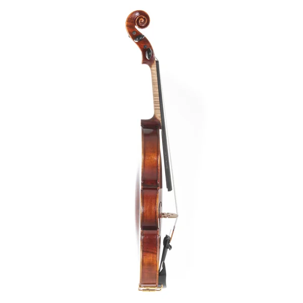 GEWA Violin outfit Europa Student - 4/4
