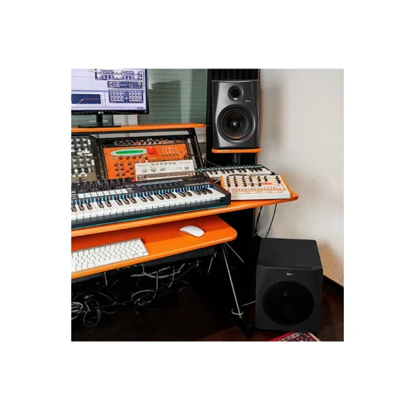 Gibbon10 Monkey Banana Caisson de Basses Actif 300W noir