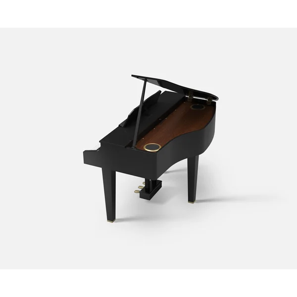 GP607 - polished ebony