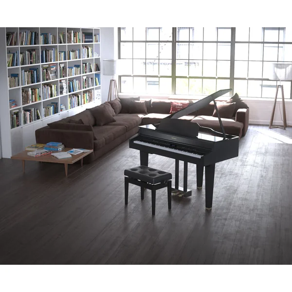 GP607 - polished ebony