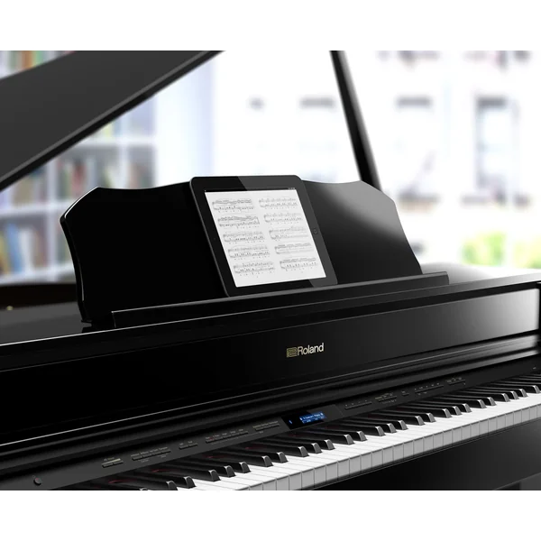 GP607 - polished ebony