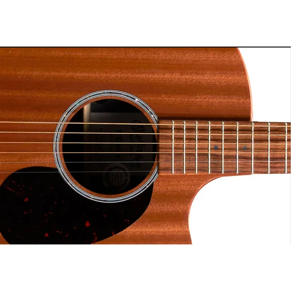 GPC-X2E Ziricote - natural satin