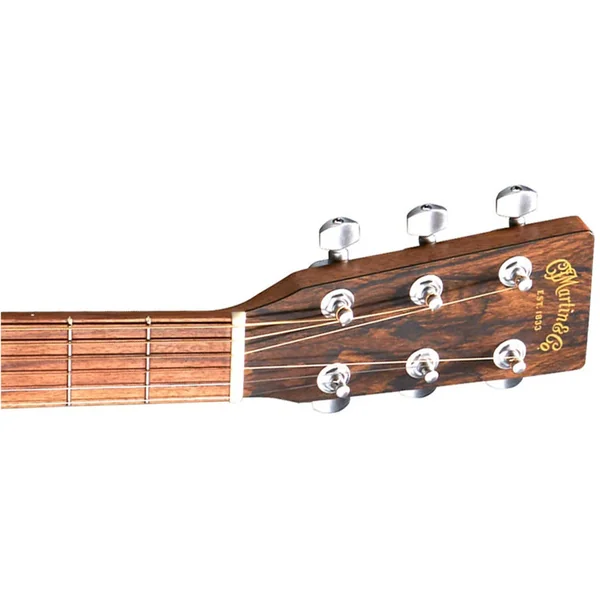 GPC-X2E Ziricote - natural satin
