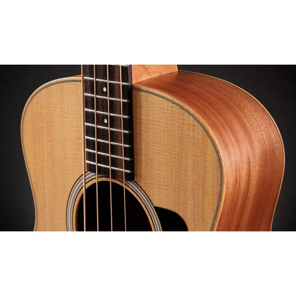 GS Mini-e Bass - natural matte