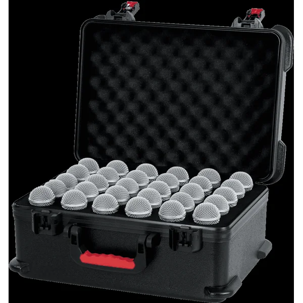 GTSA-MIC30