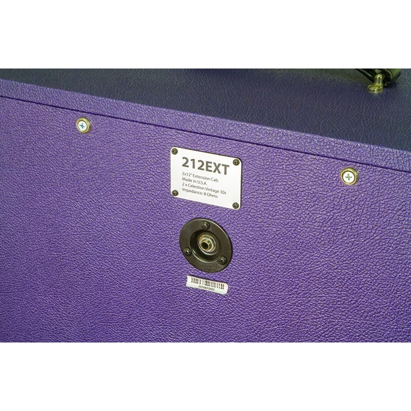 Horizontal 212 Guitar Cab.- Purple