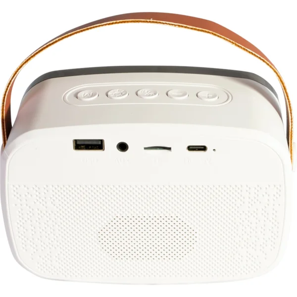 Ibiza Smart Karaoke Bluetooth Højtaler med 2 Trådløse Mikrofoner