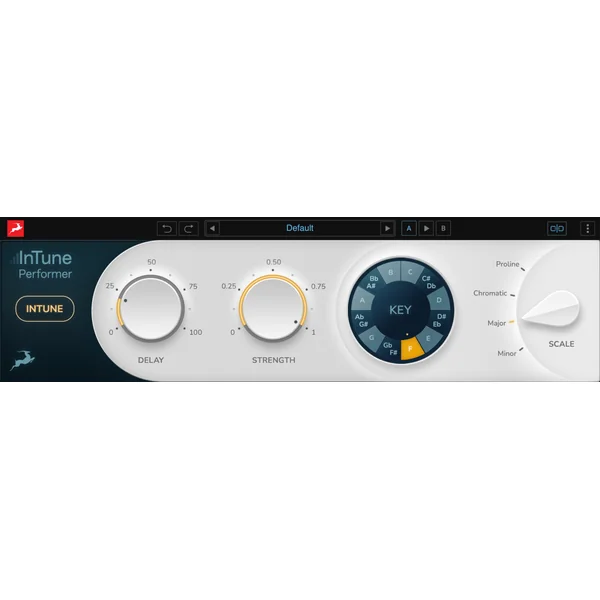 InTune Performer
