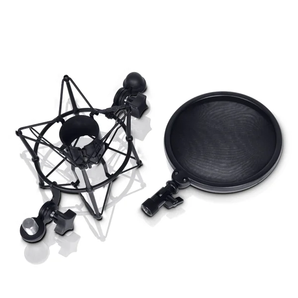 LD Systems DSM 400 Suspension Microphone avec Filtre Anti-pop