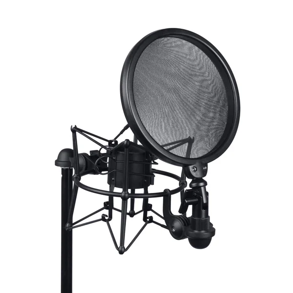 LD Systems DSM 400 Suspension Microphone avec Filtre Anti-pop