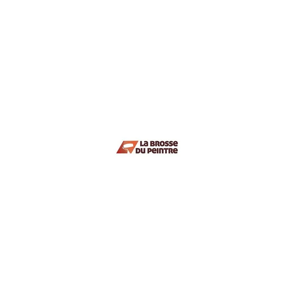 Lot de 6 brosses à rechampir SOLVEXCEL LBDP