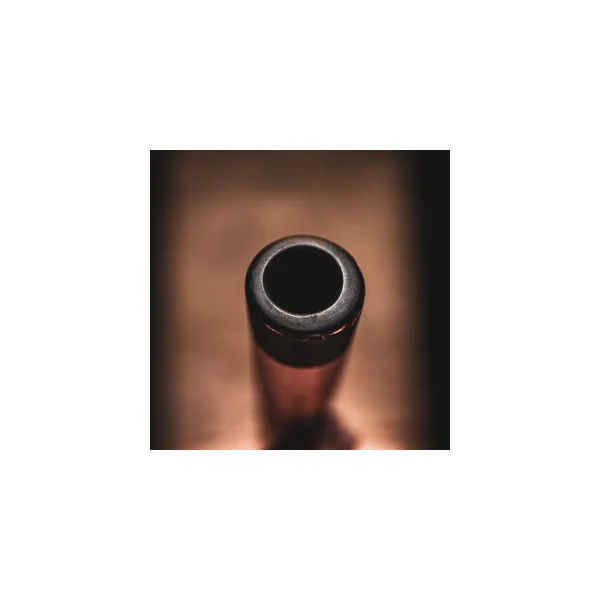 MEINL SONIC ENERGY Didgeridoo Pro Acajou