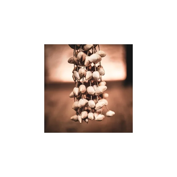 MEINL SONIC ENERGY Djudju Kenari - Grand