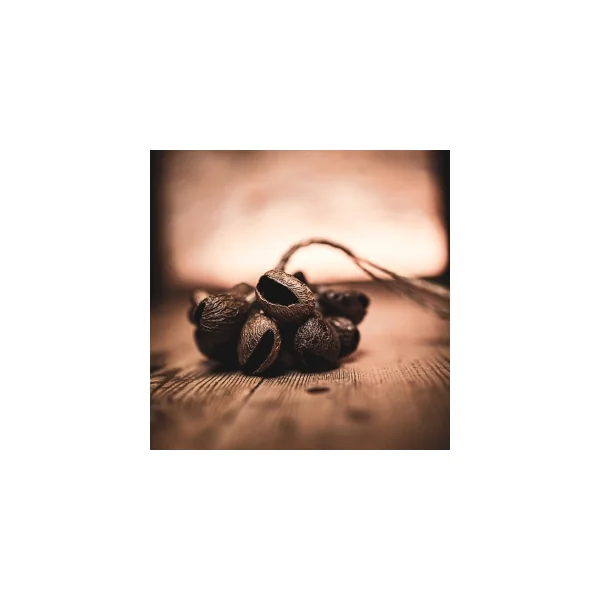 MEINL SONIC ENERGY Djudju Pangi - Petit
