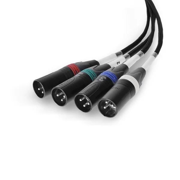 Palmer AoC Loom XLRm - Câble Audio over Cat de etherCON vers 4 x XLR mâle