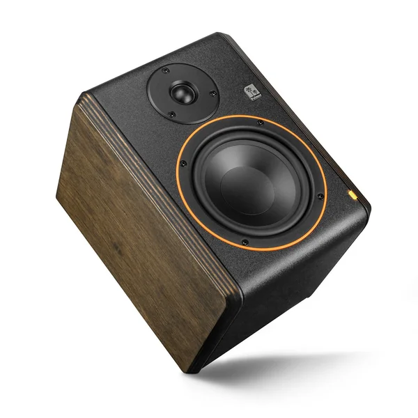 Palmer STUDIMON 5 - Studie Monitor