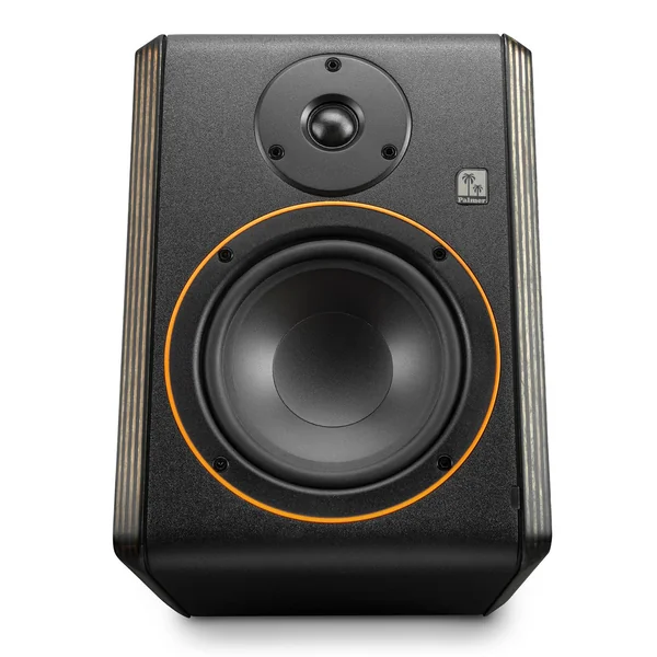 Palmer STUDIMON 5 - Studie Monitor