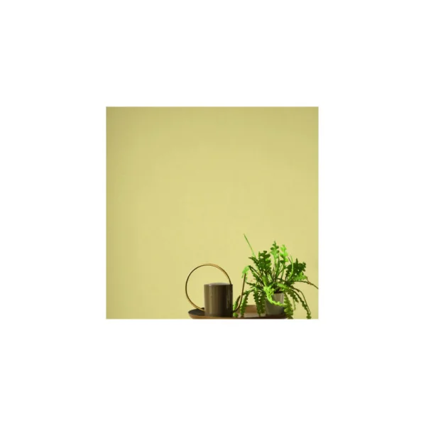 Papier Peint CASADECO Hansan HANS202522653