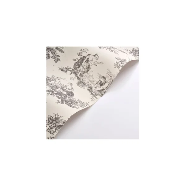 Papier Peint CASADECO Les belles toiles de JOUY 2 BTJD87919612