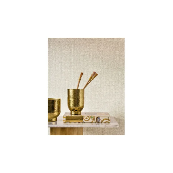 Papier Peint CASADECO Solaris SOLA201900047