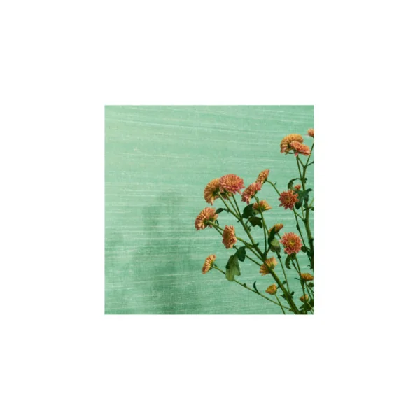 Papier Peint ELITIS Elixir de Soies VP 928 43