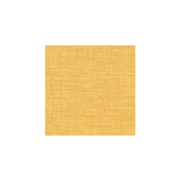 Papier Peint ELITIS Madagascar Arrowroot-Raw-Raffiab VP 731 22