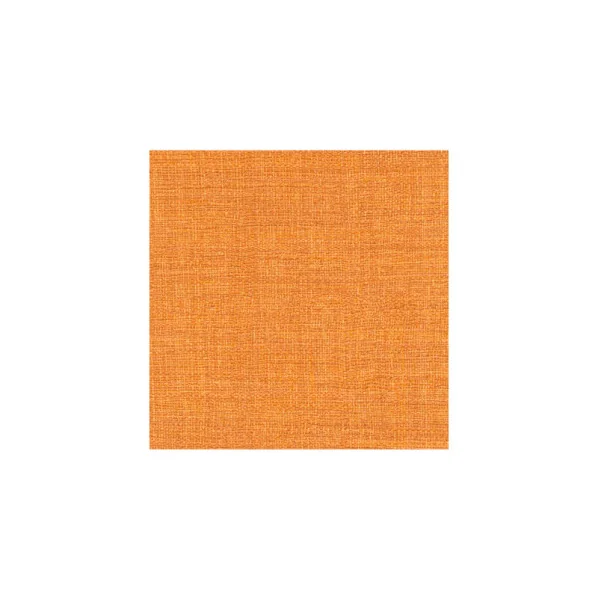 Papier Peint ELITIS Madagascar Arrowroot-Raw-Raffiab VP 731 37