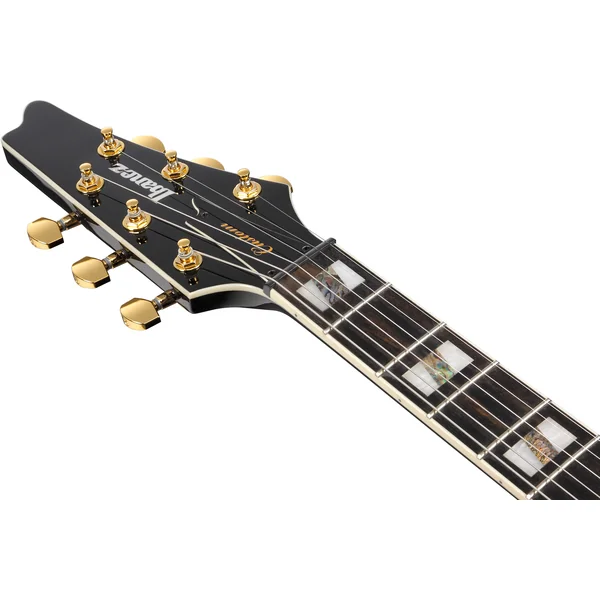 Paul Gilbert FRM350 BK - black