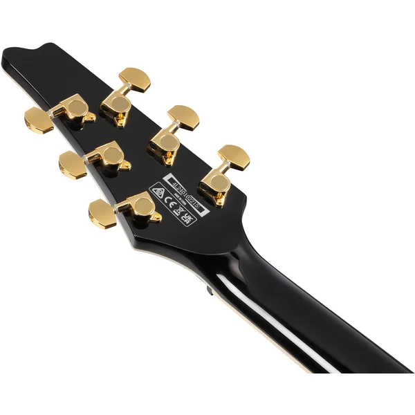Paul Gilbert FRM350 BK - black