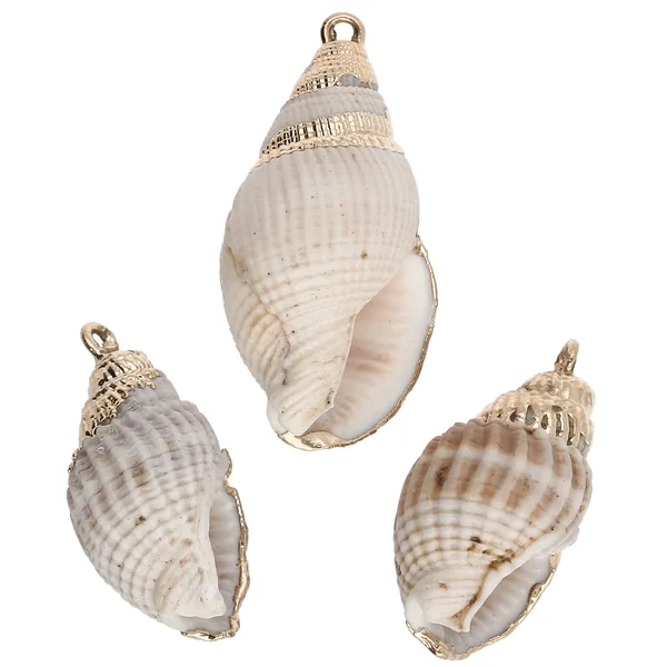Pendentif coquillage de 20 à 30 mm avec bordures dorées - Naturel x1