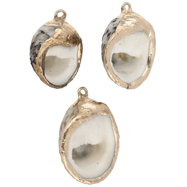 Pendentif coquillage tacheté de 25 à 30 mm avec bordures dorées - Marron Beige x1