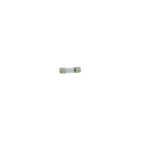 POCHETTE 10 FUSIBLES 5X20mm 1,25A RAPIDE (6080)