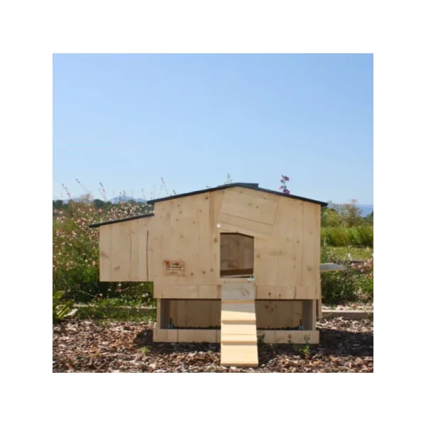 Poulailler 6 Poules Piou Epicéa 19 mm Abri Poules Volaille Sans Enclos