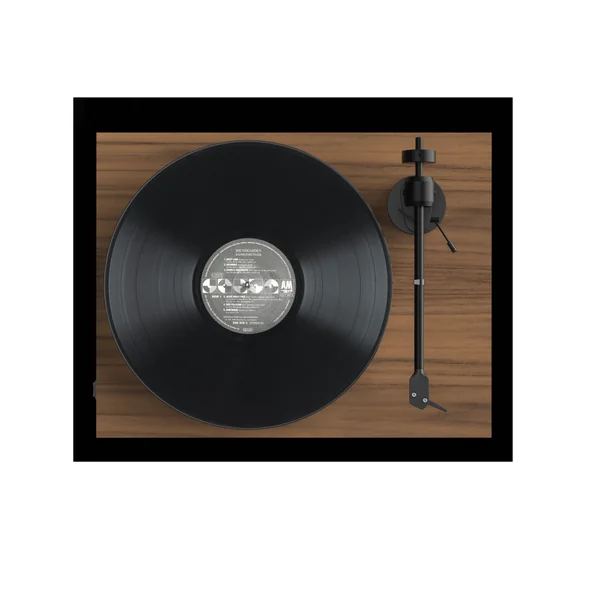 Pro-Ject E1 AT3600L Platine vinyle (Noyer)