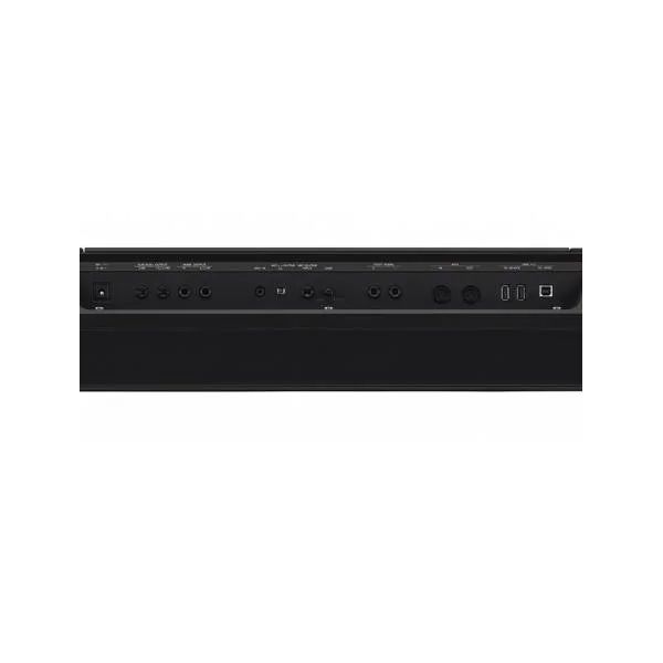 PSR-SX920